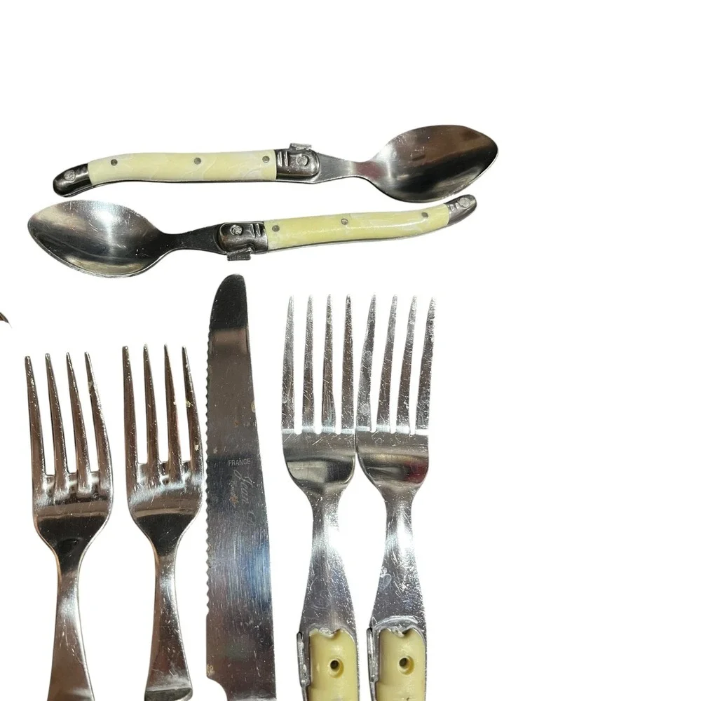 Rare Jean Dubost Laguiole French Flatware 20pc Set Marbled Handles Mixed Designs